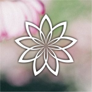 bloom-mandala